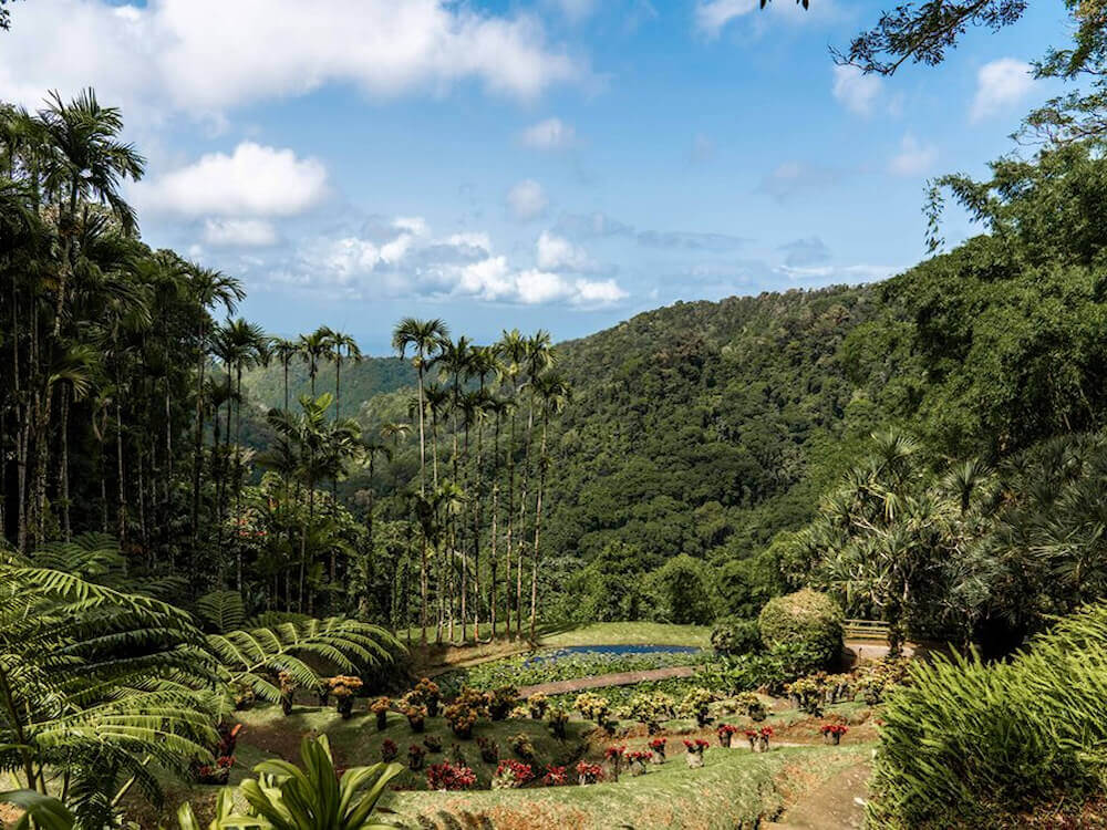 visite des jardins de balata