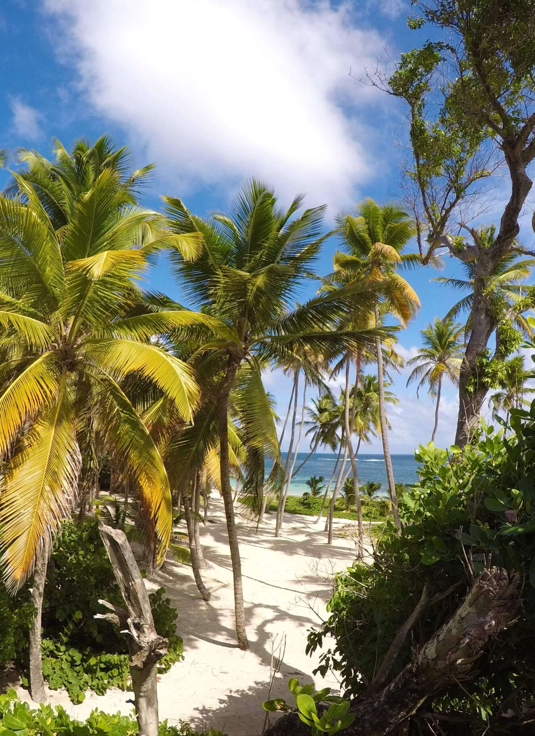Plage de l'anse michel